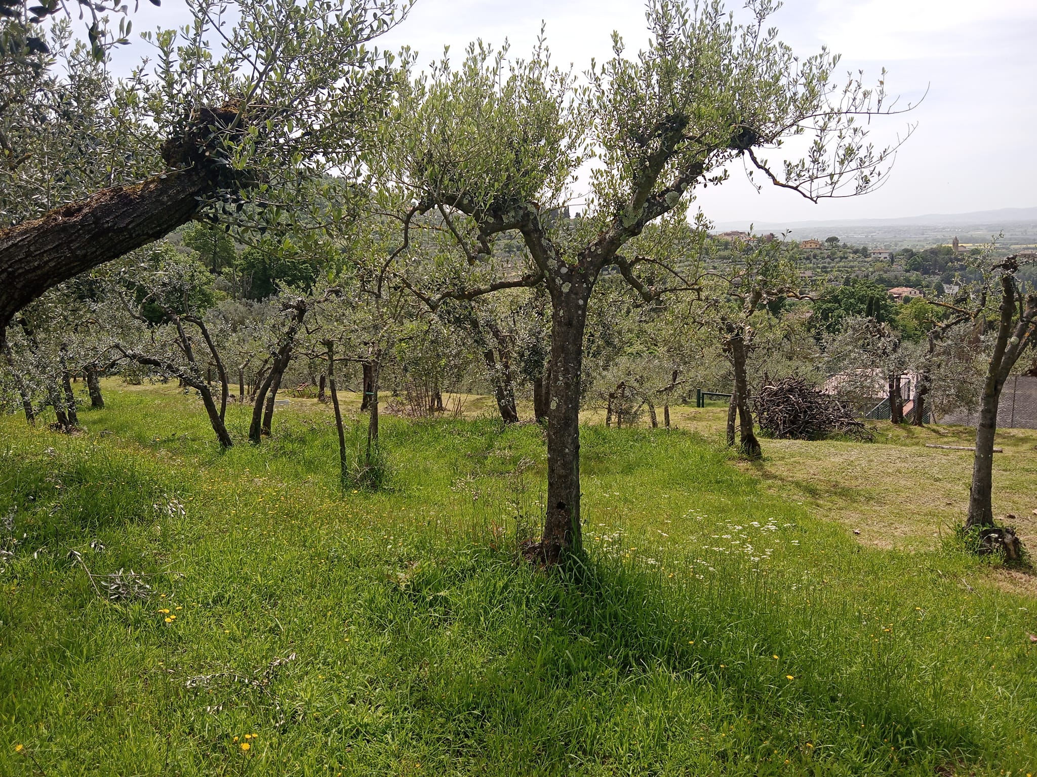 440139156_10231724071475416_1801345960270565624_n